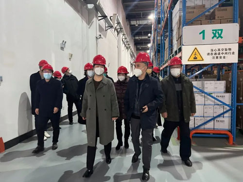 协会陪同省商务厅赴南京医药开展安全生产检查及防疫物资保供调研